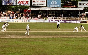 Harriet and Justin Met at a Cricket Match in late 2016