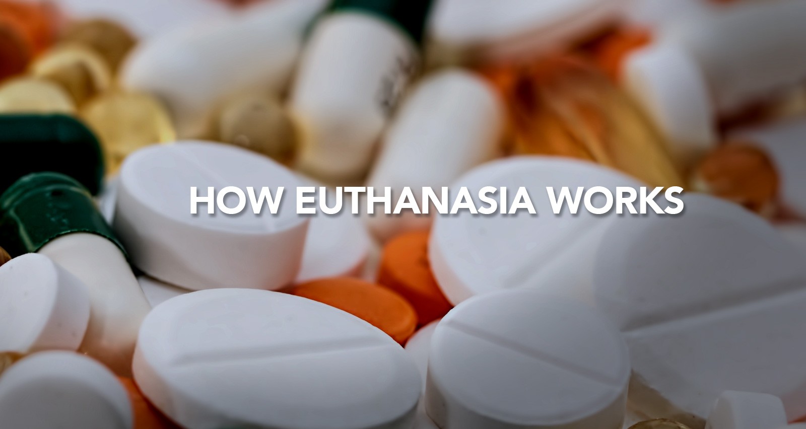 How Euthanasia Works
